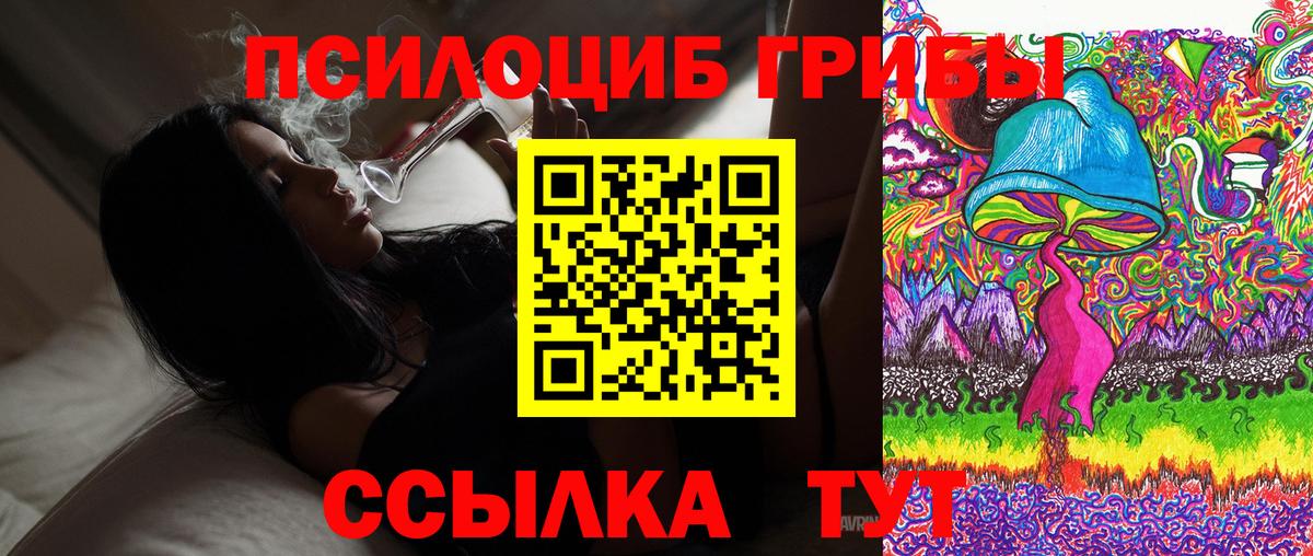Псилоцибиновые грибы Cubensis  наркота  Елизово  Вход с VPN 